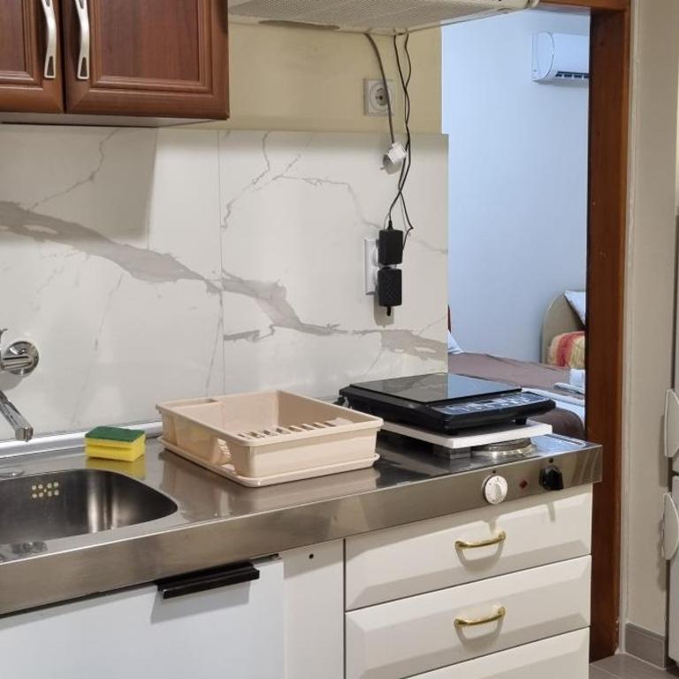 Apartmani Cvetković - Apartman sa 1 Spavaćom Sobom - 14
