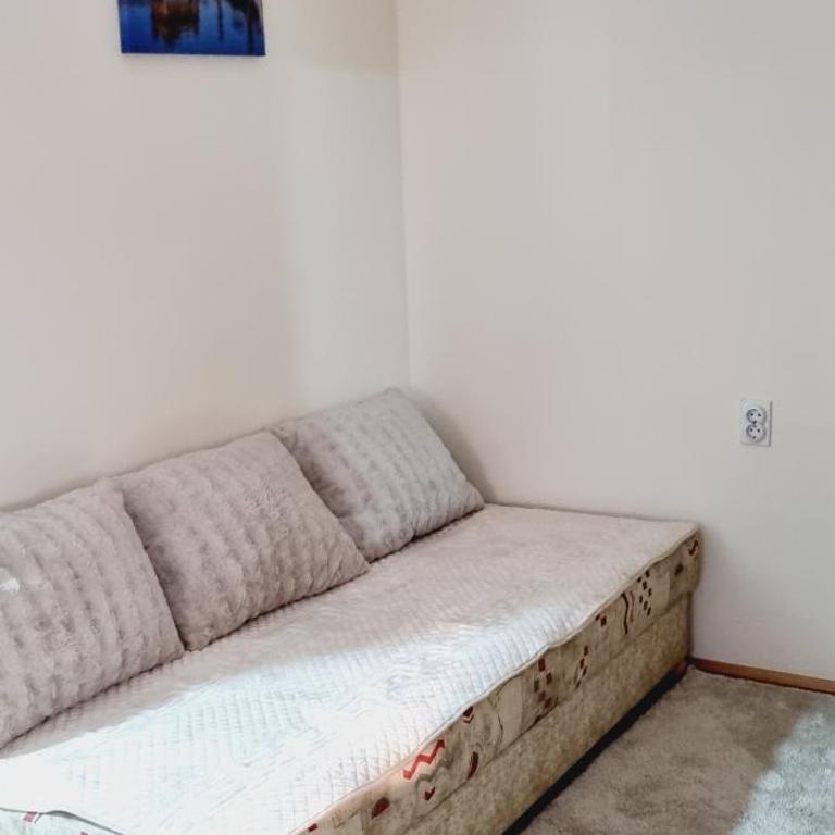 Apartmani Cvetković - Apartman sa 1 Spavaćom Sobom - 14