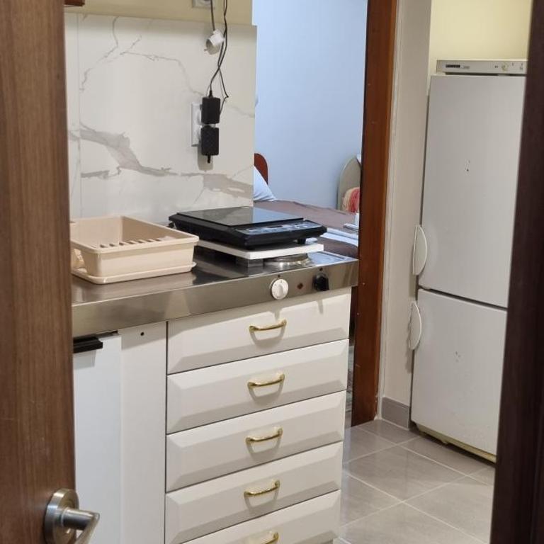 Apartmani Cvetković - Apartman sa 1 Spavaćom Sobom - 18