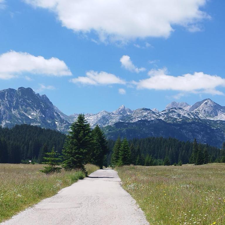 Melanija - Two-Bedroom House - 63