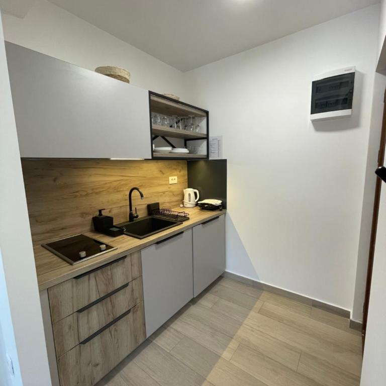 Dora Family Apartments Budva - Deluks Studio sa Bračnim Krevetom (King-size) - 6