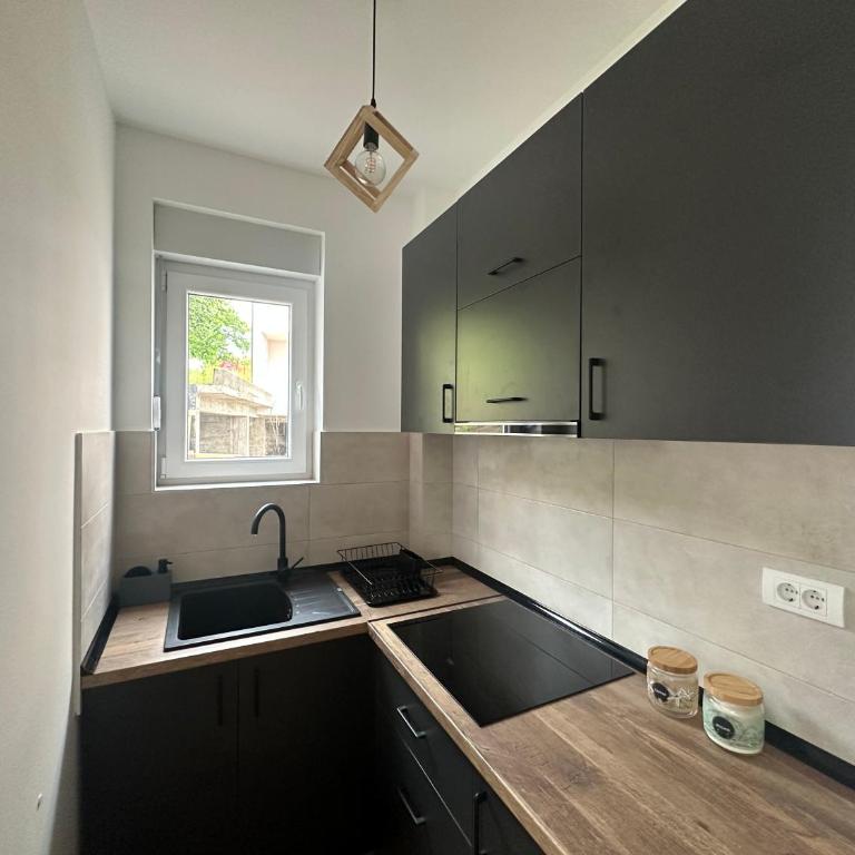 Apartman Pavlović - Apartman sa 1 Spavaćom Sobom - 7