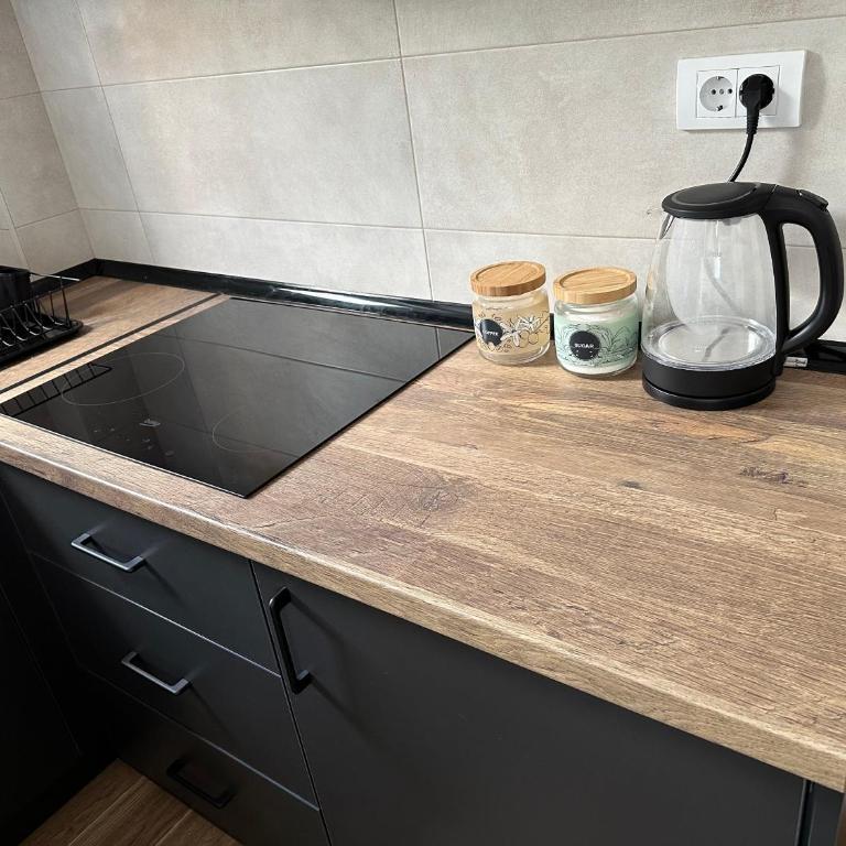 Apartman Pavlović - Apartman sa 1 Spavaćom Sobom - 6
