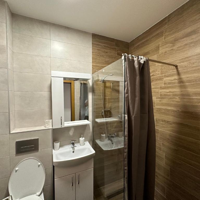 Apartman Pavlović - Apartman sa 1 Spavaćom Sobom - 14