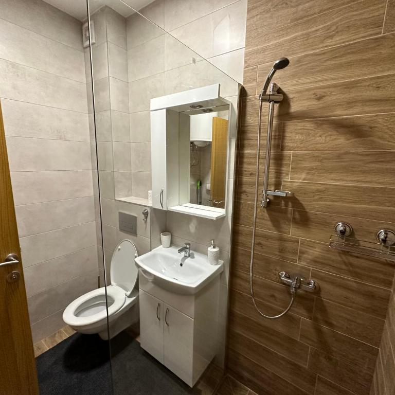 Apartman Pavlović - Apartman sa 1 Spavaćom Sobom - 12