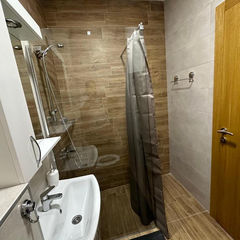 Apartman Pavlović - Apartman sa 1 Spavaćom Sobom - 13