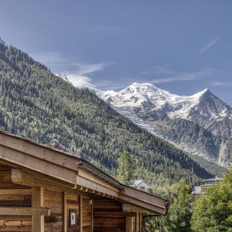 Panorama du Mont-Blanc- Spacious and ideally located 1 bedroom apartment - Appartement - 6