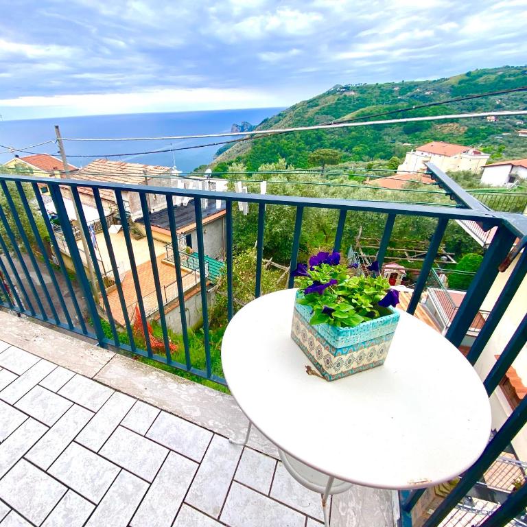 Seeview rooftop house between Sorrento and Amalfi - One-Bedroom House - 12