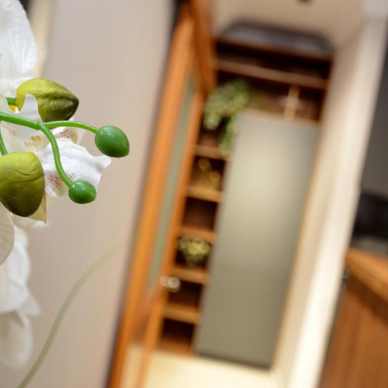 Boka Devine Residence - Two-Bedroom Villa - 11