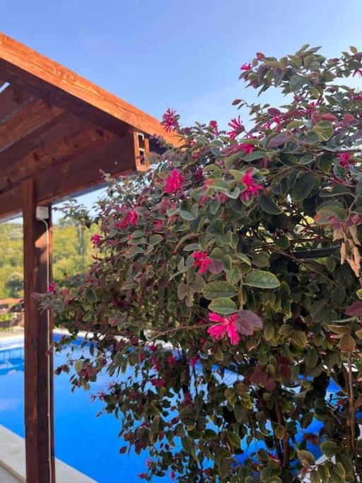 Villa Hedonic - Vila sa 3 Spavaće Sobe - 20