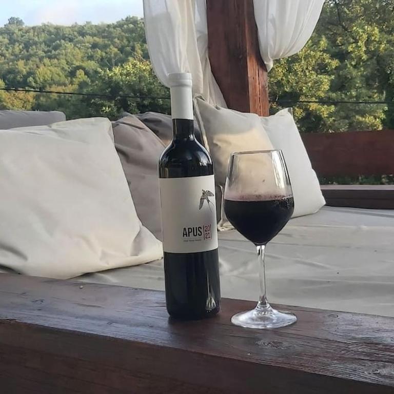 Villa Hedonic - Vila sa 3 Spavaće Sobe - 18