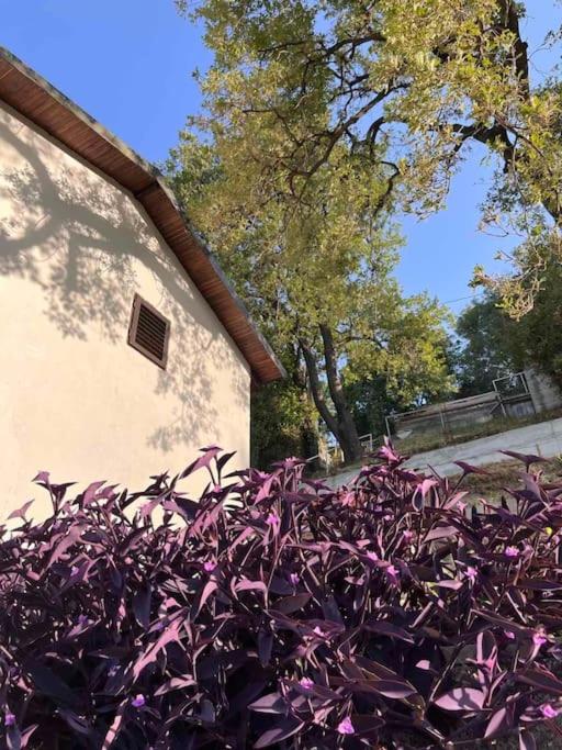 Villa Hedonic - Vila sa 3 Spavaće Sobe - 50