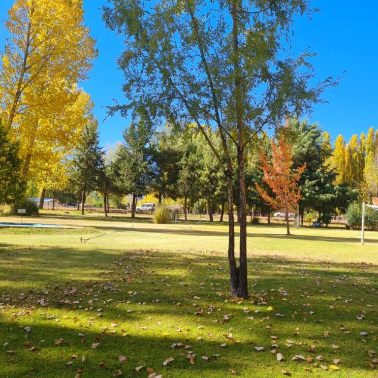 Cabaña en Alta Montaña - Complejo Cabañas del Pastizal - USPALLATA, MENDOZA - Apartamento de 1 dormitorio - 12