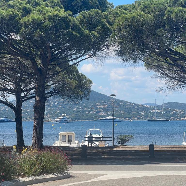 "Saint-Tropez" Superbe appartement avec Terrasse Jardin et Parking privé - Apartamento de 1 dormitorio - 27