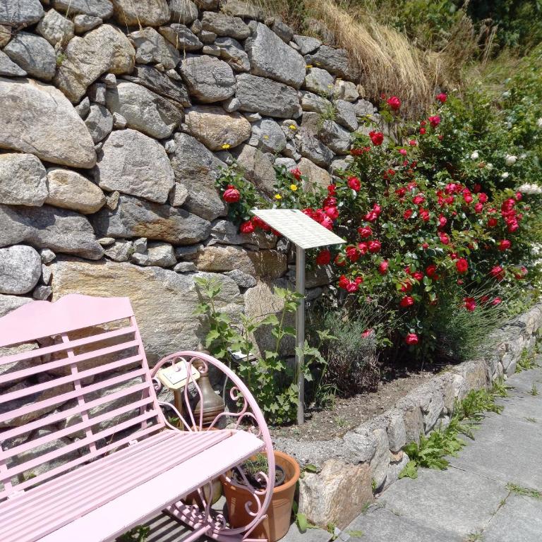 Apart-Chalet Talblick - Chalet 1 Chambre - 20