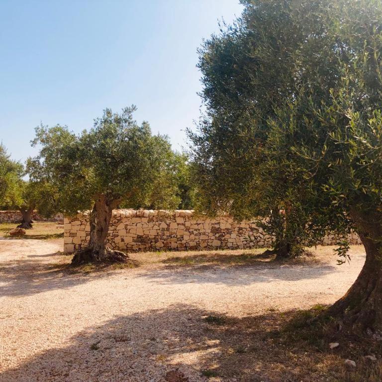 DIMORA DONNA CARMELA - One-Bedroom House - 13