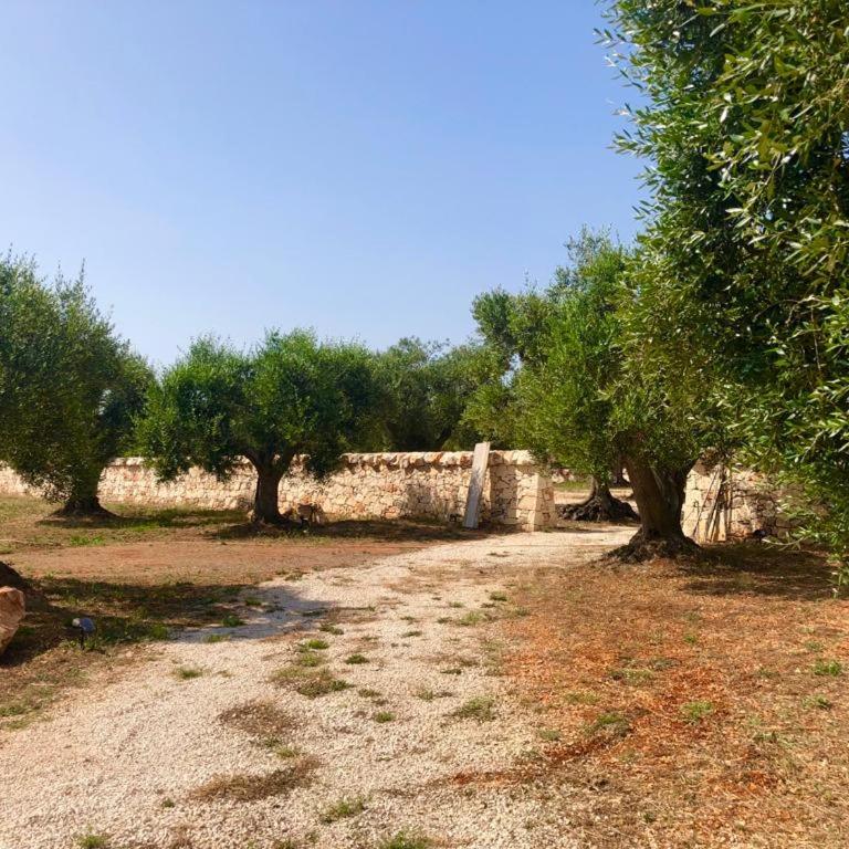 DIMORA DONNA CARMELA - One-Bedroom House - 19