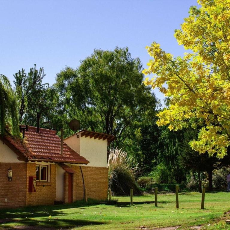 Cabaña en Alta Montaña - Complejo Cabañas del Pastizal - USPALLATA, MENDOZA - Apartamento de 1 dormitorio - 1