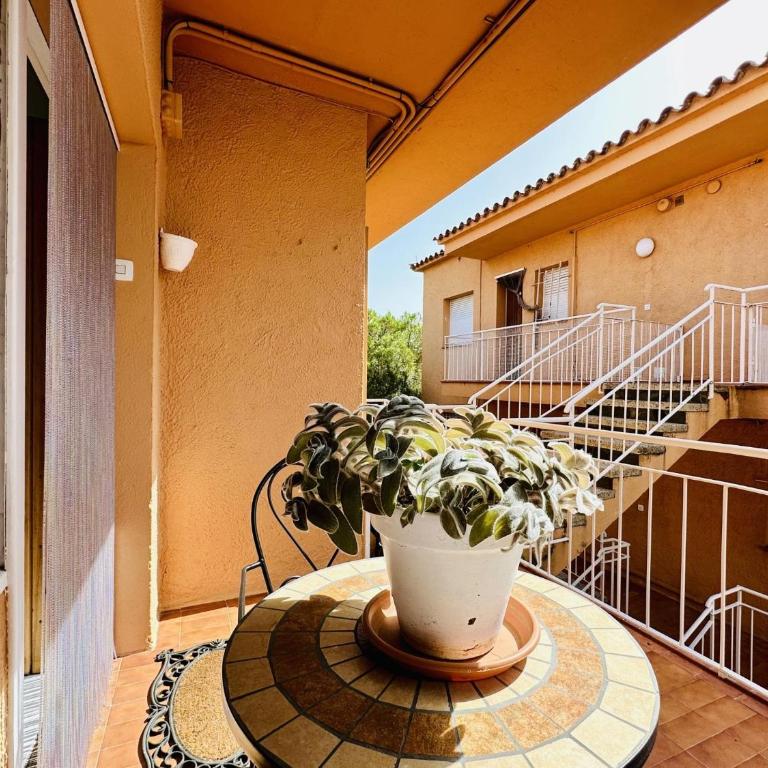 Ambient CostaBravaSi - Apartamento - 21
