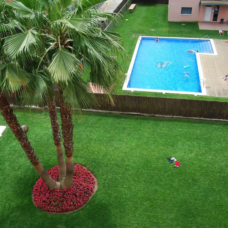 Camelia Apartment - Apartamento de 1 dormitorio - 1