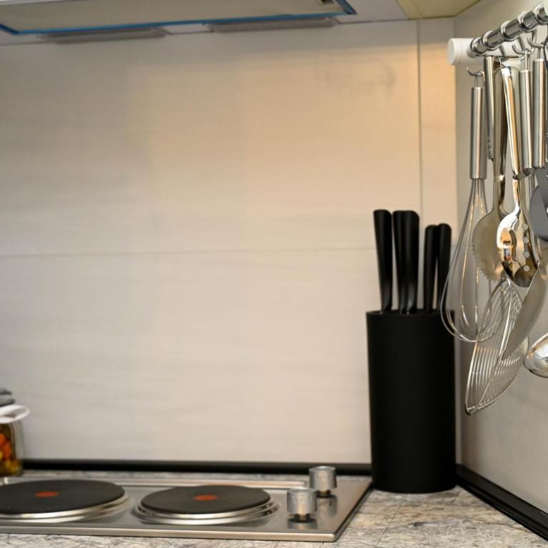 Apartman Andric Zlatibor - Apartman sa 1 Spavaćom Sobom - 14