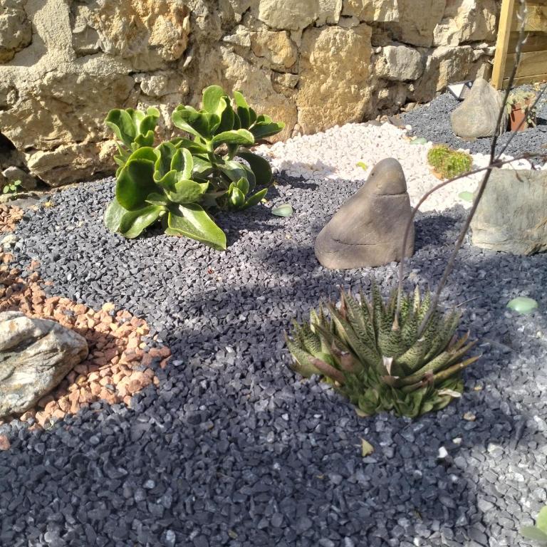 la loveRomantique chez loveroomtoulon, parking et wifi gratuits - Appartement 1 Chambre - 3