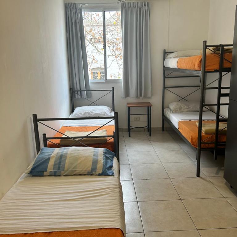 Reina Madre Hostel - Cama individual en habitación compartida - 4 camas - 6