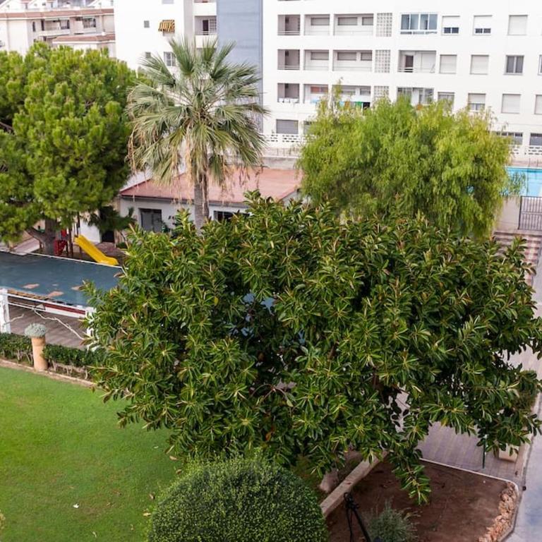 Alquiler de temporada Canet Playa - en primera linea - Appartement 3 Chambres - 6