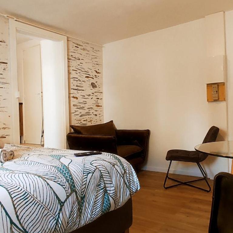 La Douce Angevine - La Perruche - Proche centre - Appartement 1 Chambre - 2