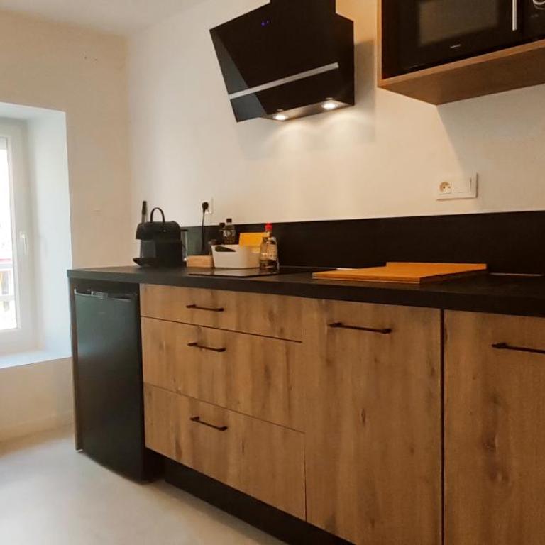 La Douce Angevine - La Perruche - Proche centre - Appartement 1 Chambre - 6