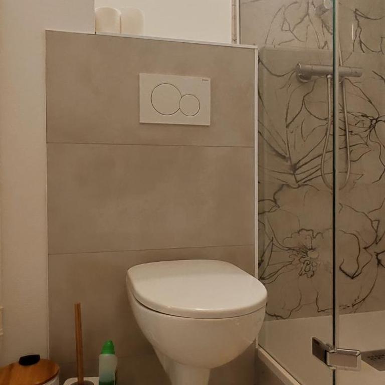 La Douce Angevine - La Perruche - Proche centre - Appartement 1 Chambre - 9