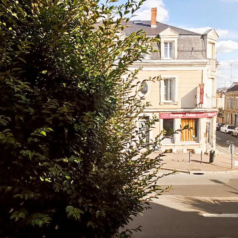 La Douce Angevine - La Perruche - Proche centre - Appartement 1 Chambre - 10