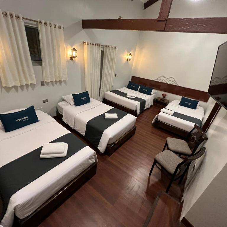 Hotel Andina - Comfort Quadruple Room - 1
