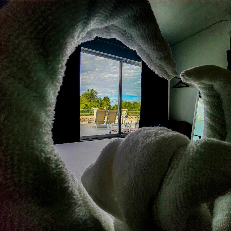 Antillas - Double Room with Terrace - 19