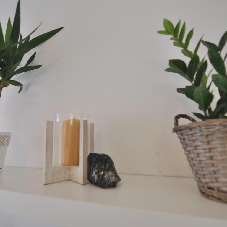 Charming studio near downtown - Studio - 1