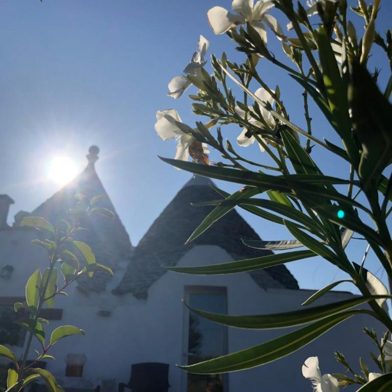 Trullo Trilli Puglia - Casa con 1 Camera da Letto - 27