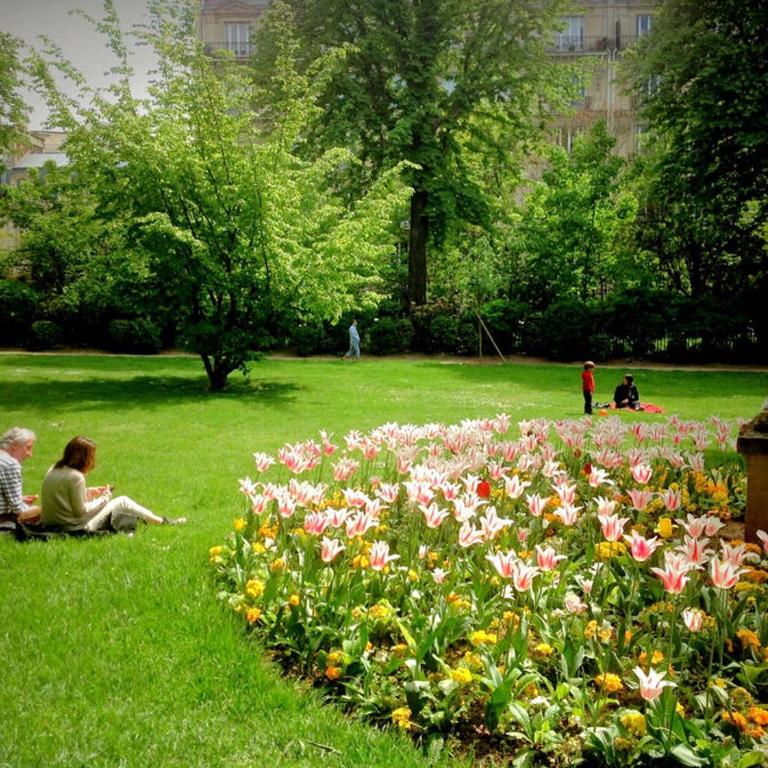 Lovely & quiet 1 Bdr Flat at the Luxury 16th Paris - Appartement 1 Chambre - 12