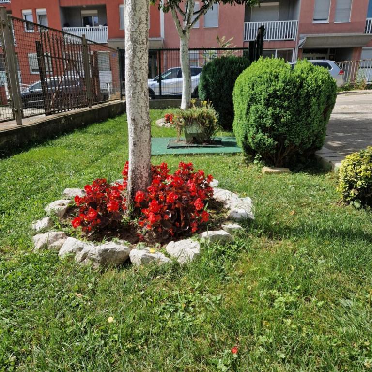 Guesthouse Irac - Apartman - 16
