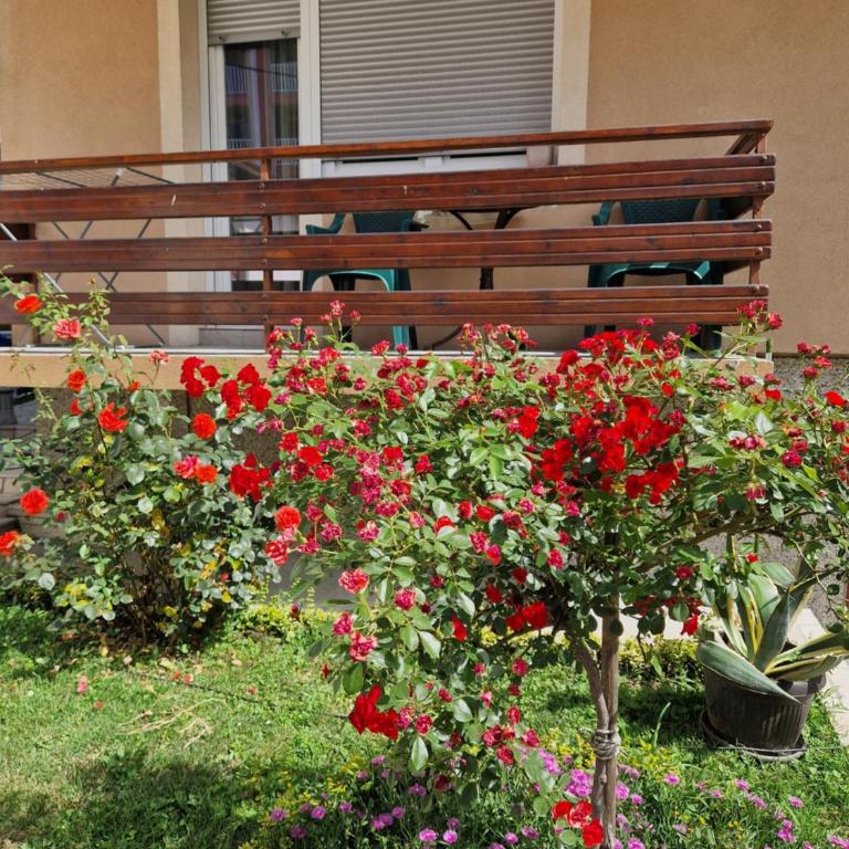 Guesthouse Irac - Apartman - 18