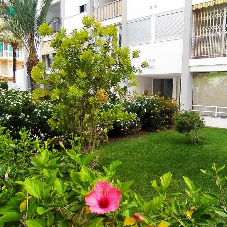 Ola Marina SOLO FAMILIAS - Apartamento de 3 dormitorios - 22