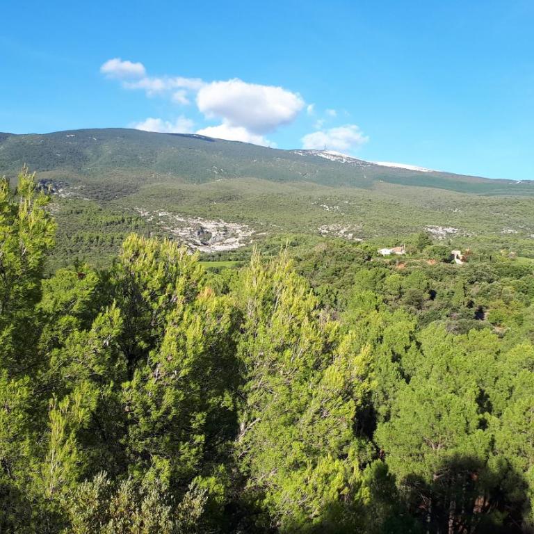 La Carriera, petite maison Provençale sud Ventoux, climatisée - Maison 2 Chambres - 24