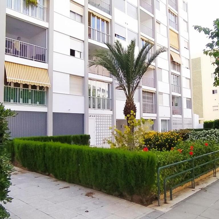 Ola Marina SOLO FAMILIAS - Apartamento de 3 dormitorios - 23