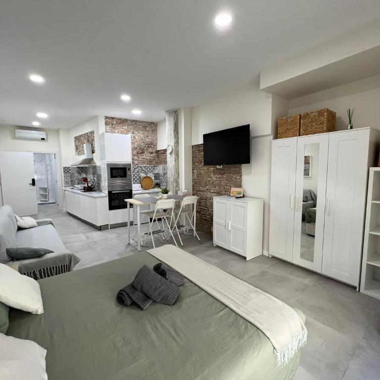 Precioso estudio en el centro de Málaga 1 - Apartamento de 1 dormitorio - 5
