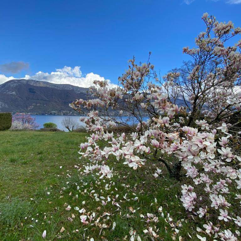 La Roselière Sud, vue lac & jardin - Haus mit 4 Schlafzimmern - 40