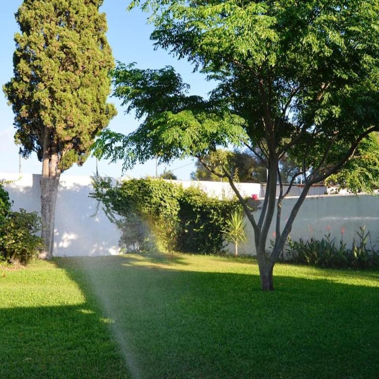 Villa Delos - Casa de 3 dormitorios - 4