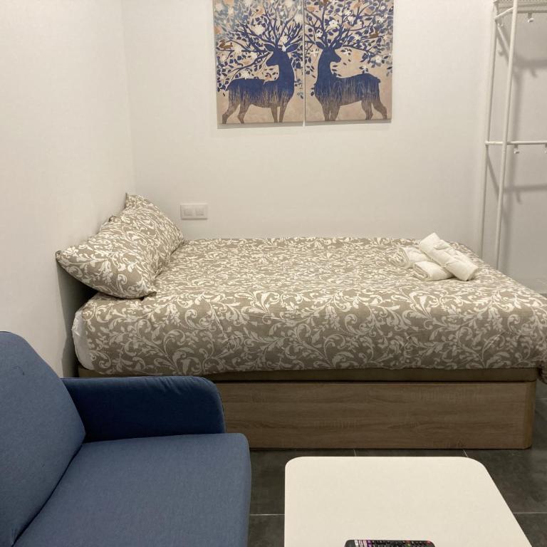 Ensanche Apartments - One-Bedroom Apartment - 3