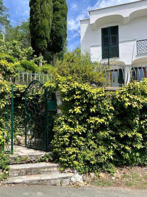 Villa con vista Sestri Levante - Villa - 43