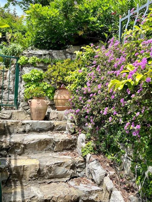 Villa con vista Sestri Levante - Villa - 46