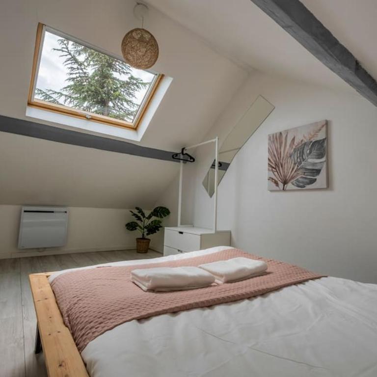 Volcano - Appartamento con 2 Camere da Letto - 4