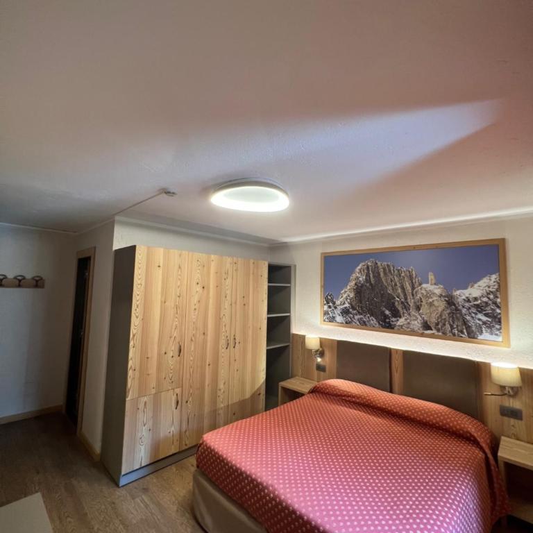 Hotel Des Glaciers - Camera Matrimoniale/Doppia con Letti Singoli - 8